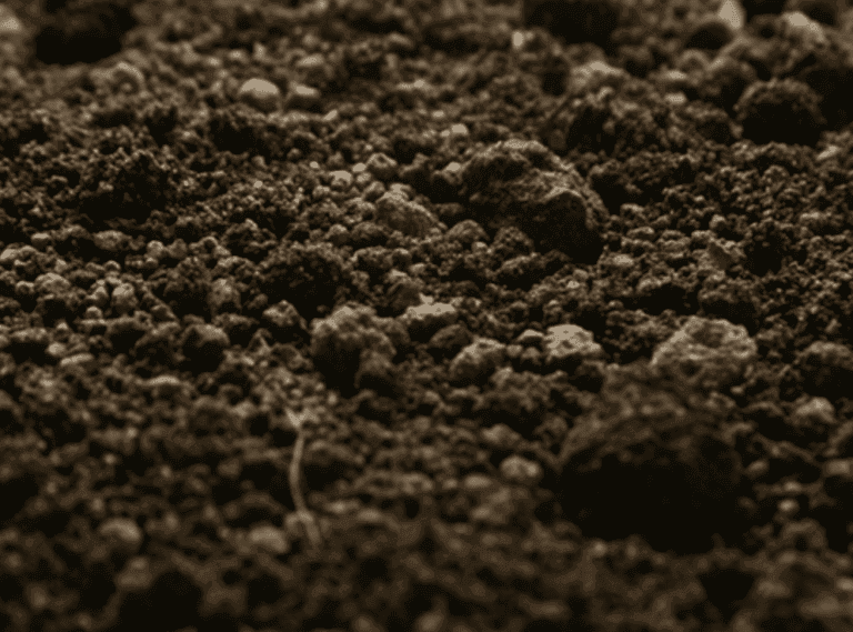 organic fertilizers