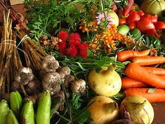 330px-Ecologically_grown_vegetables