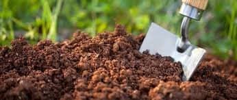 The best organic fertilizers available for beginners- Techweu