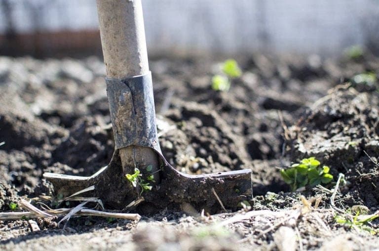 The biodiversity of Indian soils: the current scenario-Techweu