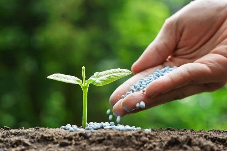 outlook-for-the-global-fertilizer-market