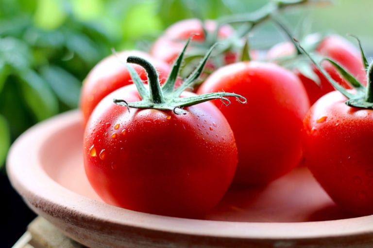 How to grow tomatoes organically with biofertilizers - Techweu
