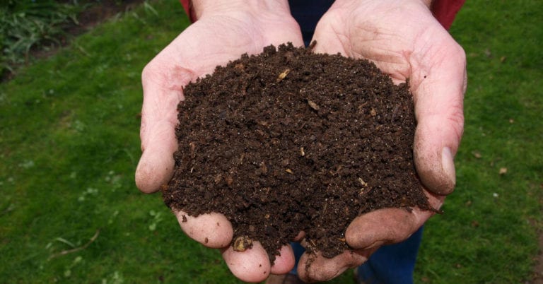 How do you prepare compost: A guide -Techweu