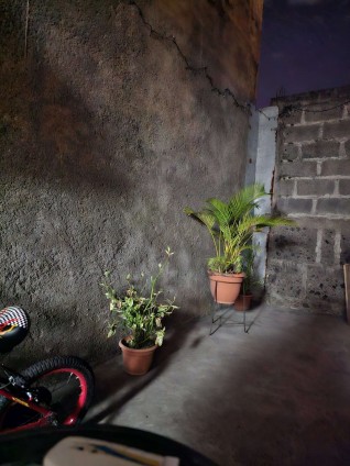 Night mode sample from the Galaxy S23 Ultra, source: Edwards Urbina on Twitter